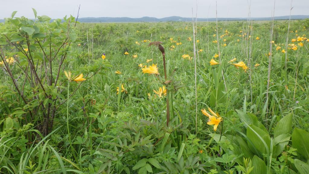 Kiritappuri Pensionat Hokkaido Eksteriør billede